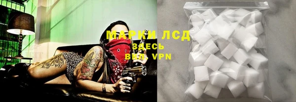ECSTASY Майский