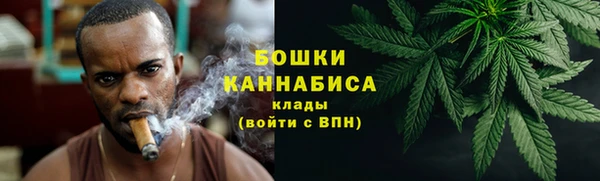 стаф Магадан