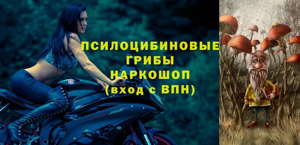 стаф Магадан