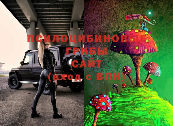 шишки Нея
