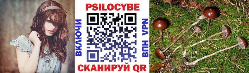 Галлюциногенные грибы MAGIC MUSHROOMS  shop состав  Ясный 